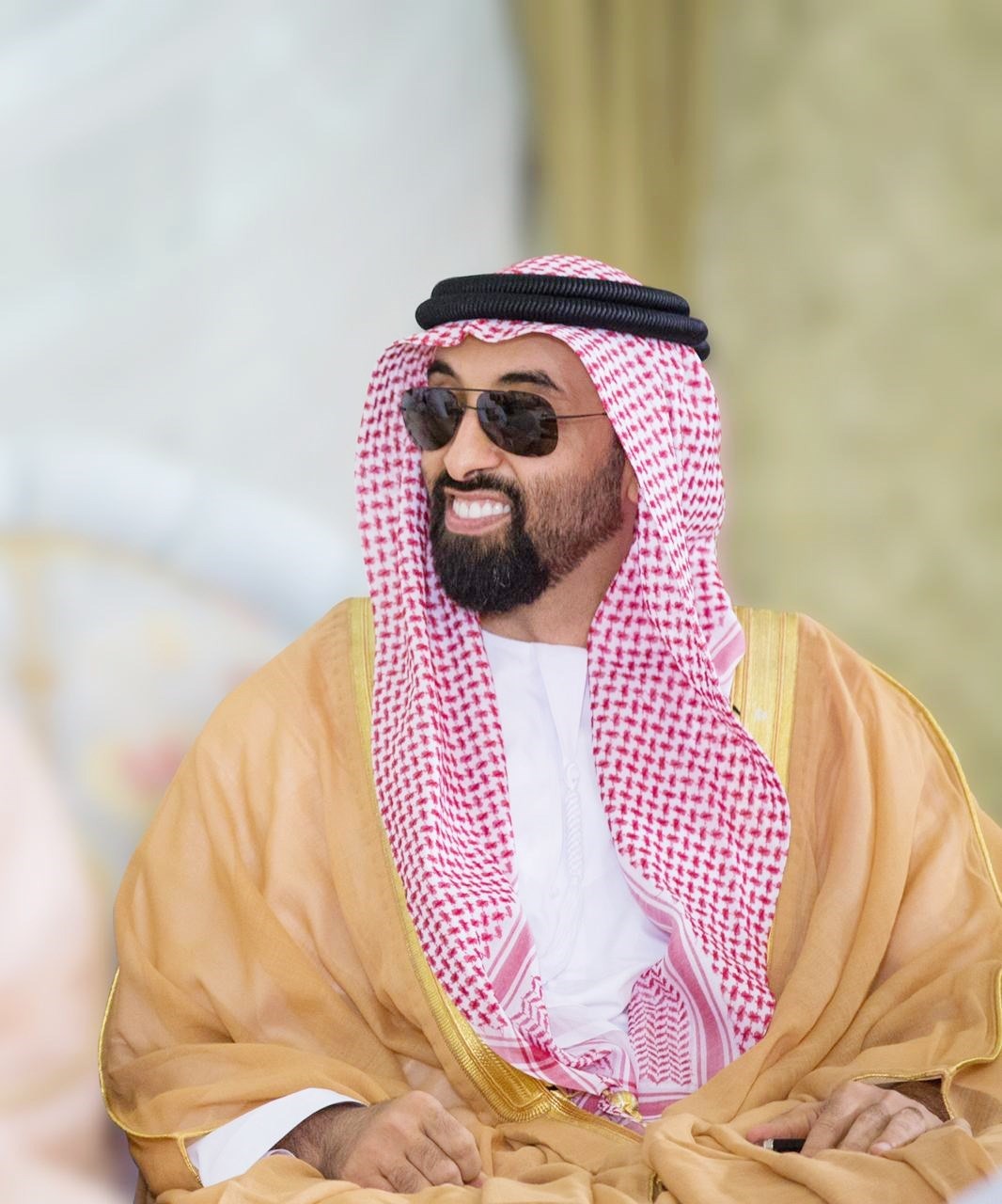 قيادة إماراتية تستشرف الغد.. توسعات سيادية وتحولات تقنية تحت إشراف الشيخ طحنون