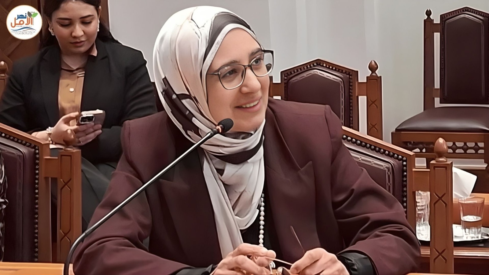 عبير سلامة من جامعة الدول العربية: الإعلام بين ترسيخ الهوية وتعميق الانقسامات
 